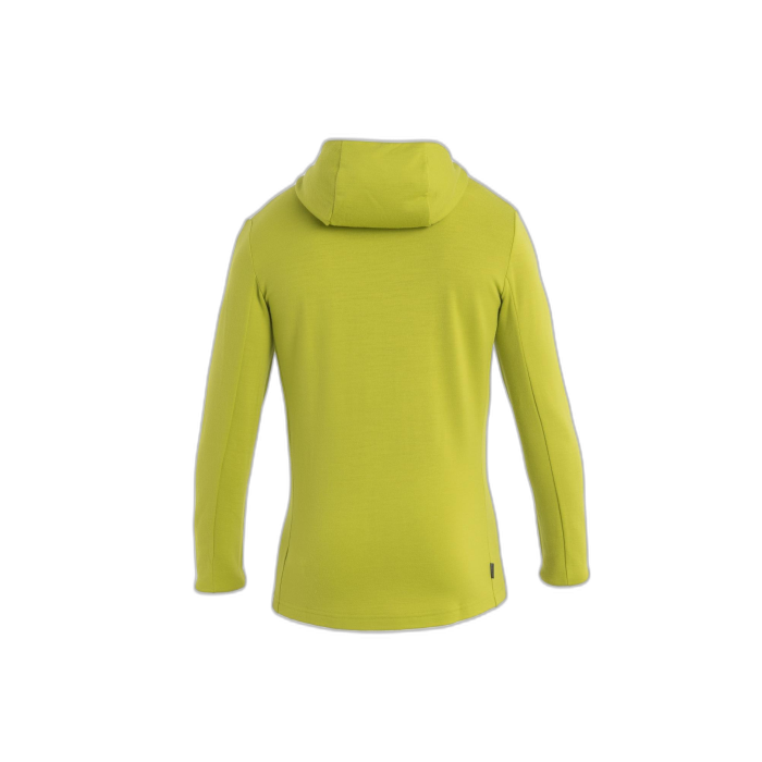 Bluza męska ICEBREAKER Quantum 3 HD 59JX / 868 bio lime