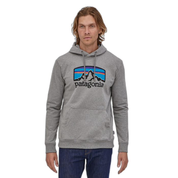 Bluza męska PATAGONIA Fitz Roy Horizon Uprisal HD /  szary