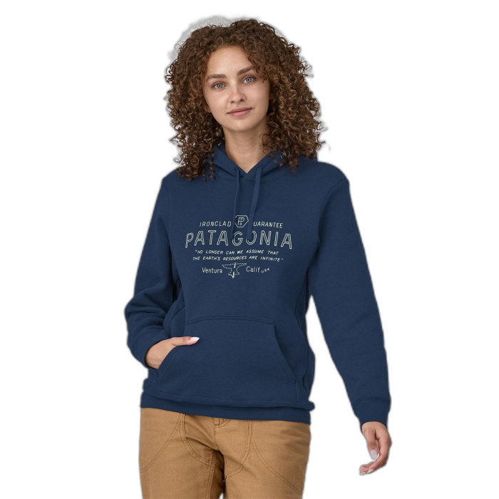 Bluza unisex PATAGONIA Forge Mark Uprisal HD / LMBE lagom blue