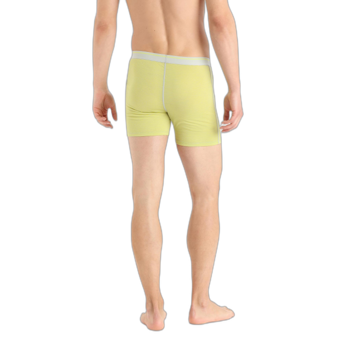 Bokserki męskie ICEBREAKER Anatomica 103029 / 670 ether shine