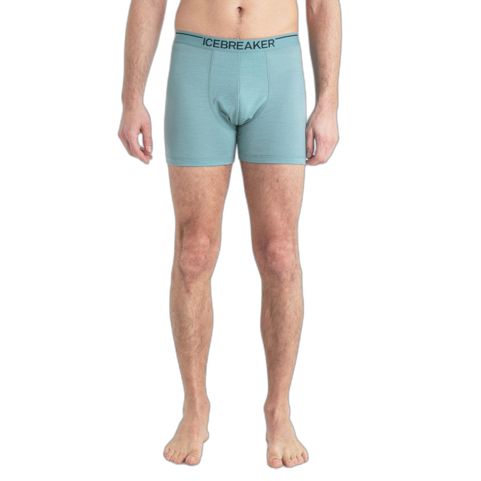 Bokserki męskie ICEBREAKER Anatomica 103029 / A75 cloud ray