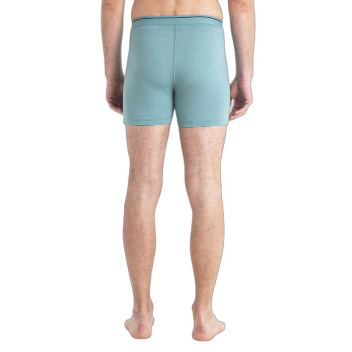 Bokserki męskie ICEBREAKER Anatomica 103029 / A75 cloud ray