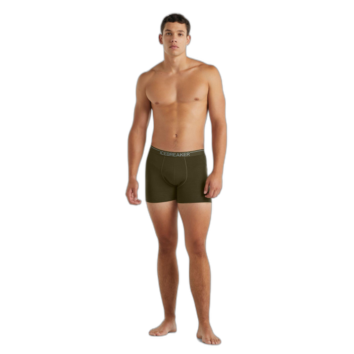 Bokserki męskie ICEBREAKER Anatomica 103029 / 069 loden