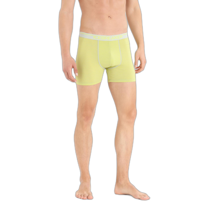 Bokserki męskie ICEBREAKER Anatomica 103029 / 670 ether shine