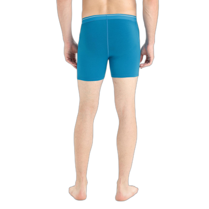 Bokserki męskie ICEBREAKER Anatomica 103029 / 734 geo blue
