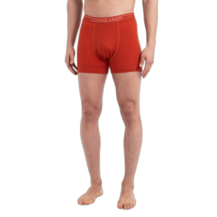 Bokserki męskie ICEBREAKER Anatomica 103029 / A84 molten