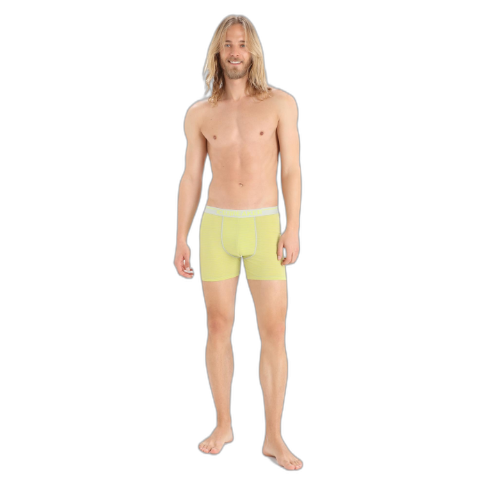 Bokserki męskie ICEBREAKER Anatomica 103029 / 670 ether shine