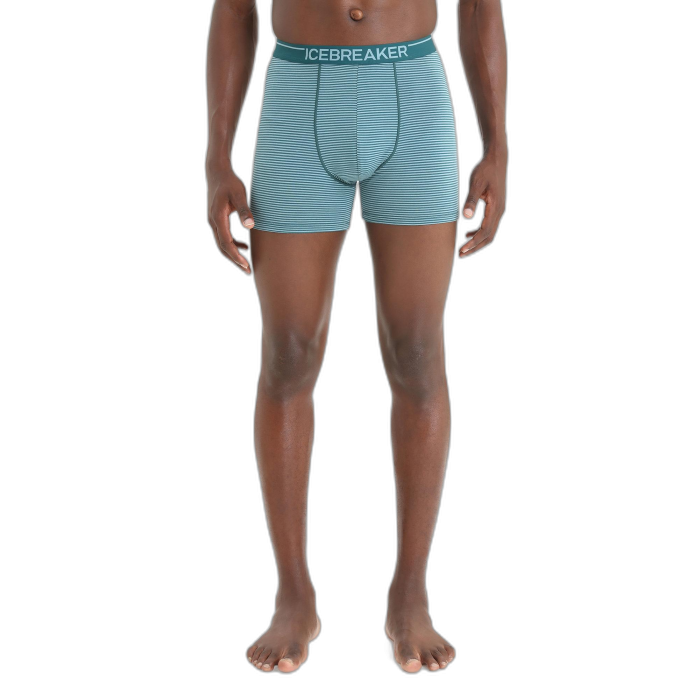 Bokserki męskie ICEBREAKER Anatomica 103029 / 799 green blue