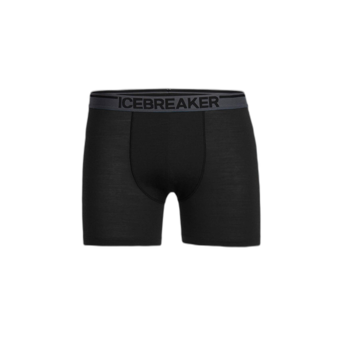 Bokserki męskie ICEBREAKER Anatomica 103029  / 010 black