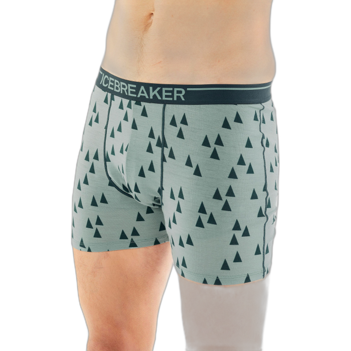 Bokserki męskie ICEBREAKER Anatomica 103029  /  wielokolorowy