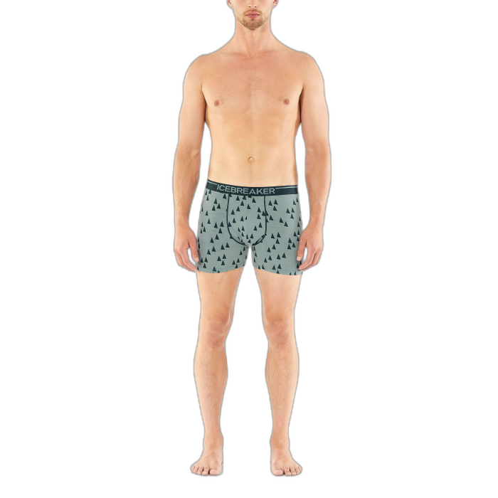 Bokserki męskie ICEBREAKER Anatomica 103029  /  wielokolorowy