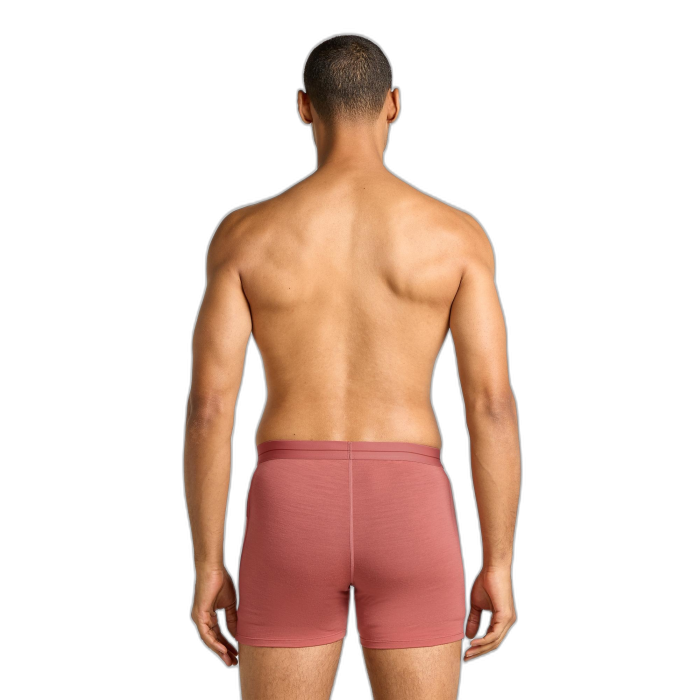 Bokserki męskie ICEBREAKER Anatomica 103029  / 0B6 plume