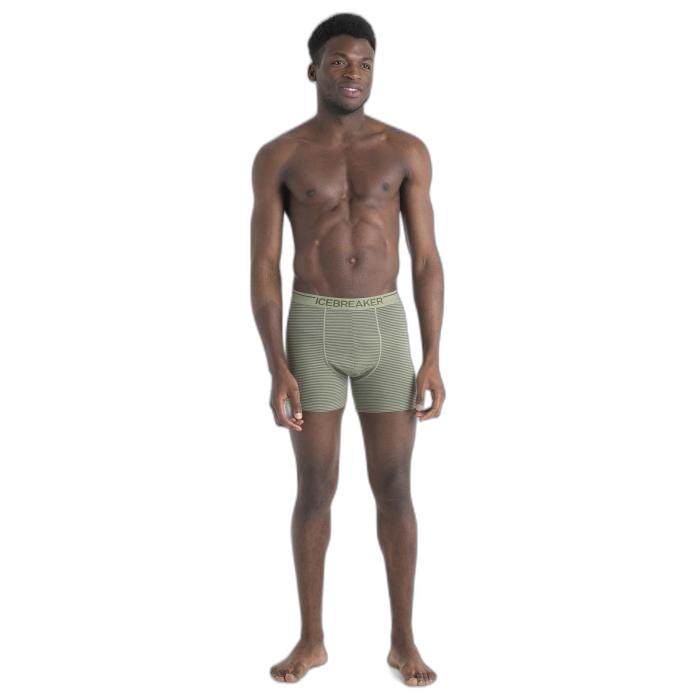 Bokserki męskie ICEBREAKER Anatomica 103029  / A85 lichen loden