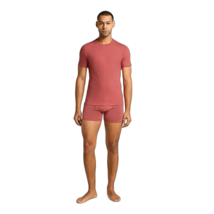 Bokserki męskie ICEBREAKER Anatomica 103029  / 0B6 plume