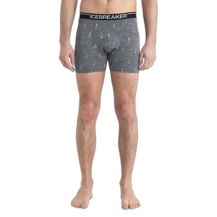 Bokserki męskie ICEBREAKER Anatomica 56YW / B92 gritstone palm