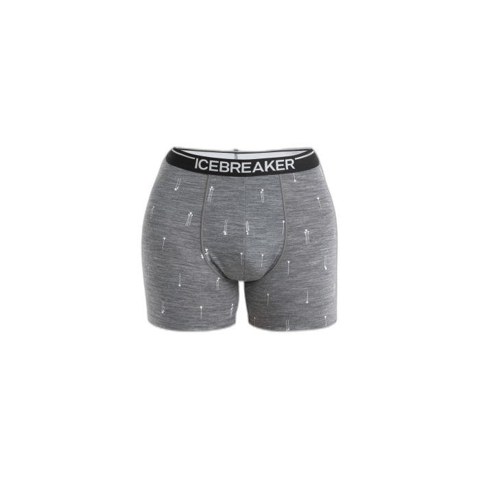 Bokserki męskie ICEBREAKER Anatomica 56YW / B92 gritstone palm