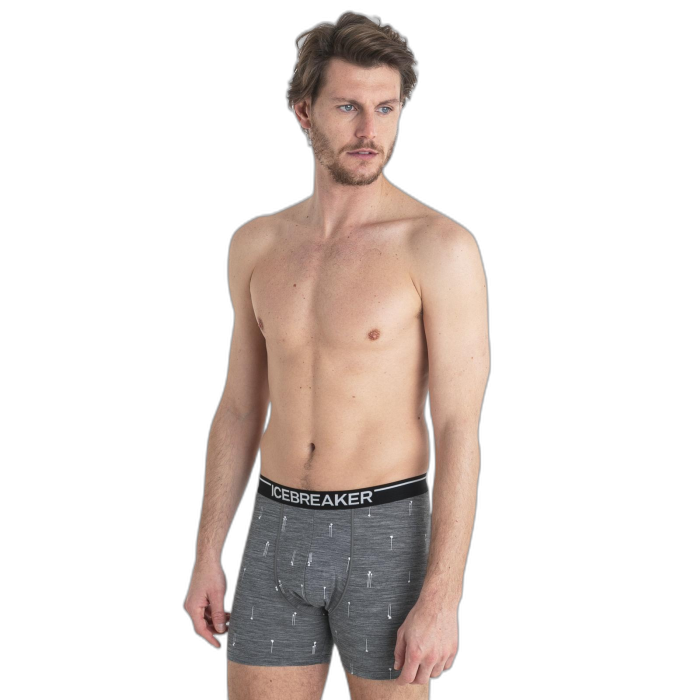 Bokserki męskie ICEBREAKER Anatomica 56YW / B92 gritstone palm