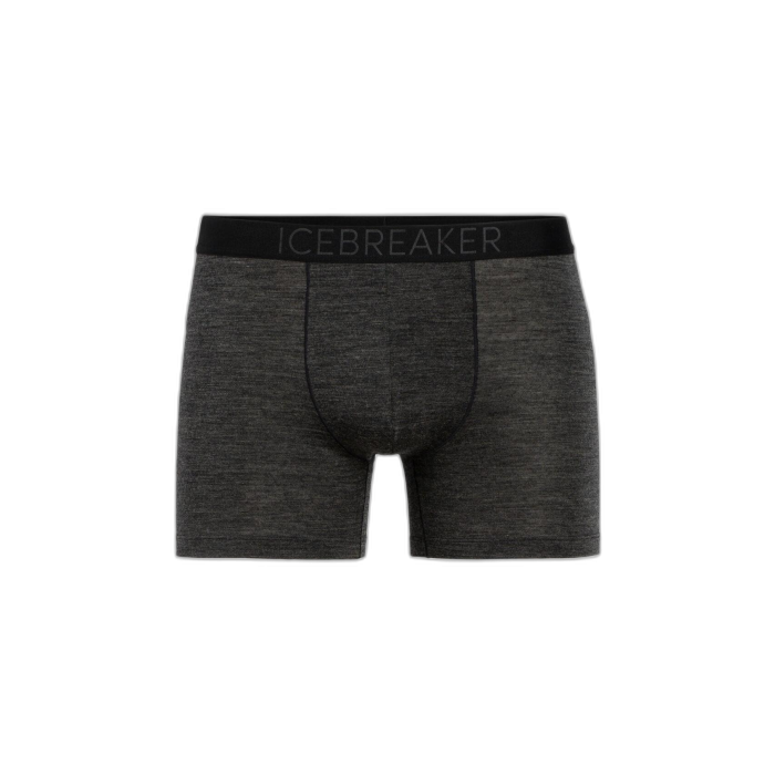 Bokserki męskie ICEBREAKER Anatomica Cool-Lite 105246 /  czarny