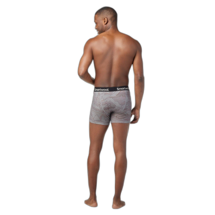 Bokserki SMARTWWOL 15151 Merino 150 / K97 Light Gray Digit