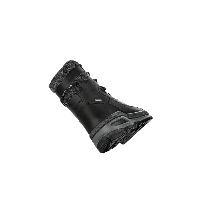 Buty LOWA Renegade Evo Ice GTX / Schwarz