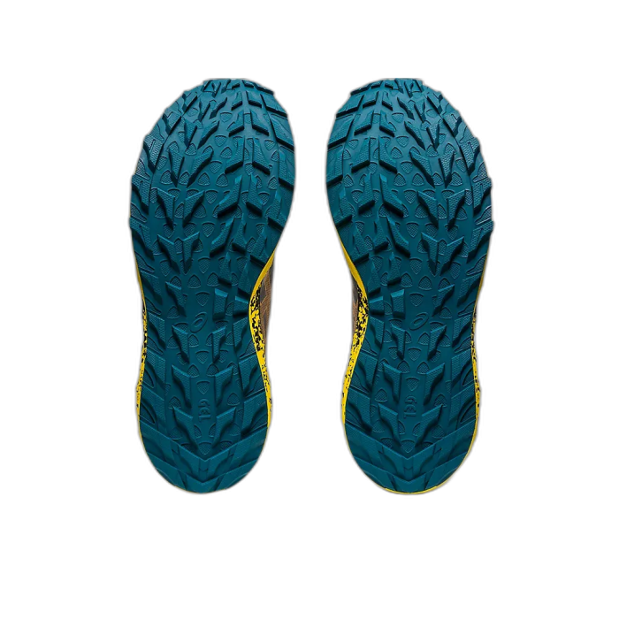 Buty biegowe ASICS GEL Trabuco Terra / 010
