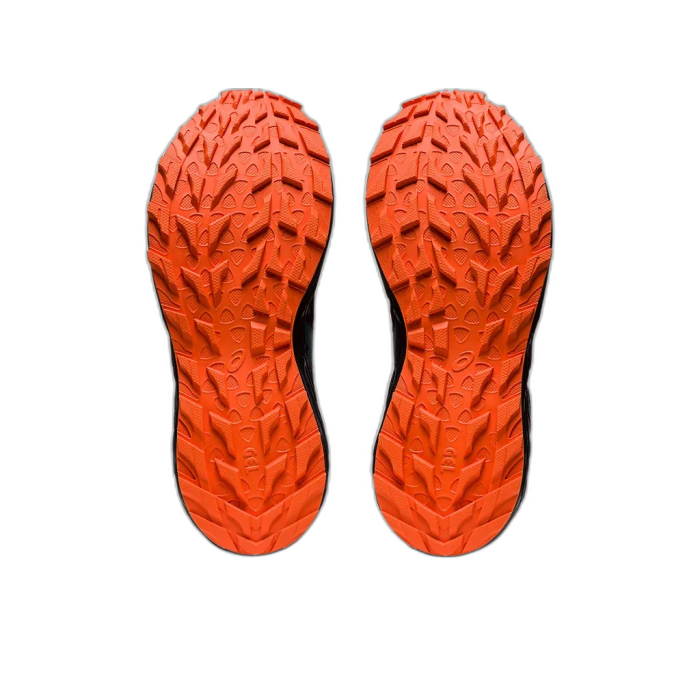 Buty biegowe ASICS W Gel Sonoma 6 gtx / 017