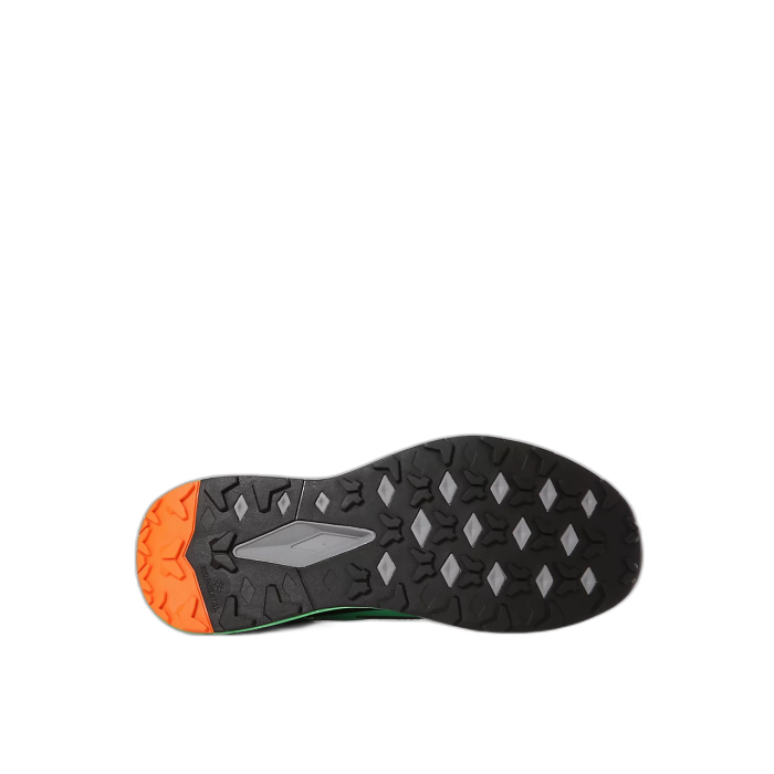 Buty biegowe TNF M Vectiv Infinite