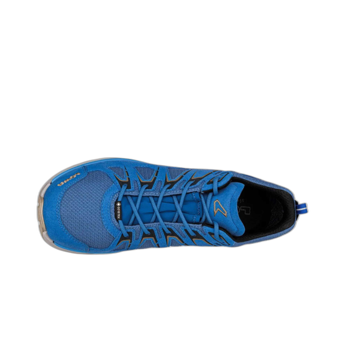 Buty LOWA Innox Evo GTX Lo / royal/schwarz