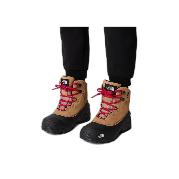 Buty TNF Y Chilkat Lace 2 / Brown Black