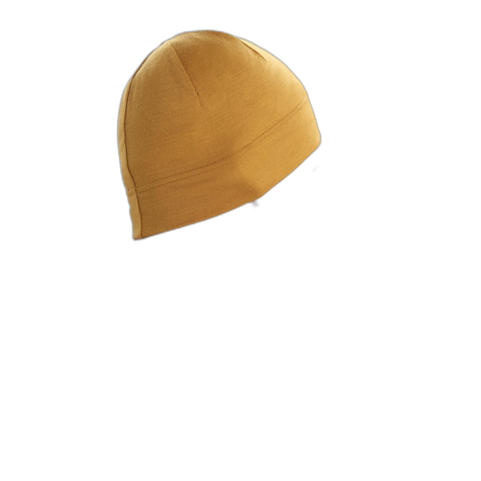 Czapka ICEBREAKER Chase 100746 / 556 clove