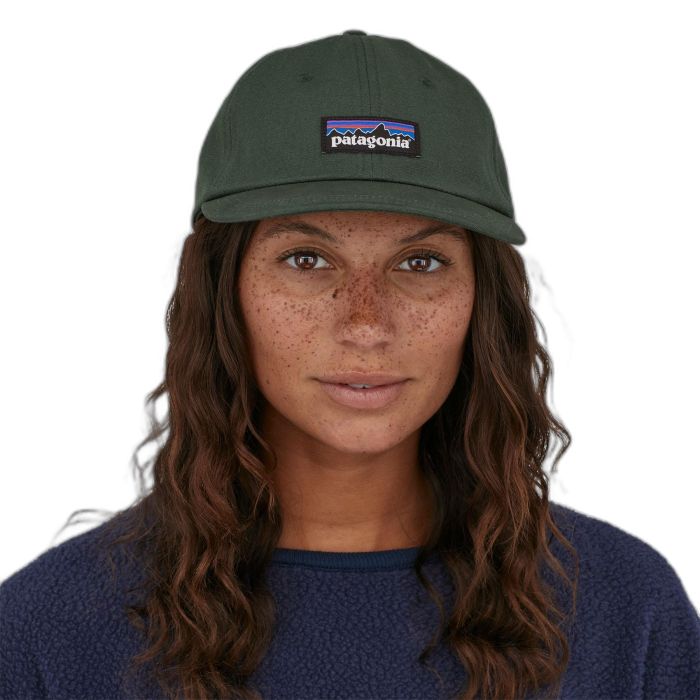 Czapka PATAGONIA Trad P-6 Label / PIGN pinyon green