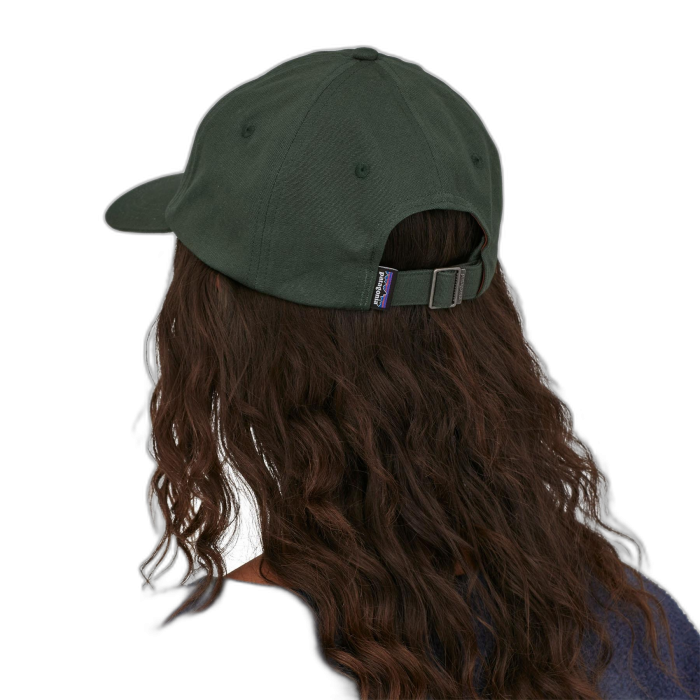 Czapka PATAGONIA Trad P-6 Label / PIGN pinyon green