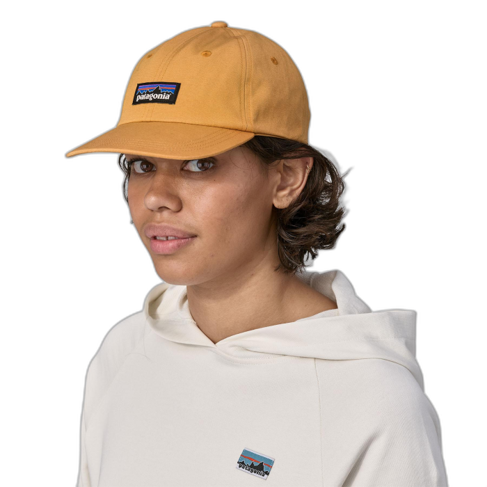 Czapka PATAGONIA Trad P-6 Label / DMGO dried mango