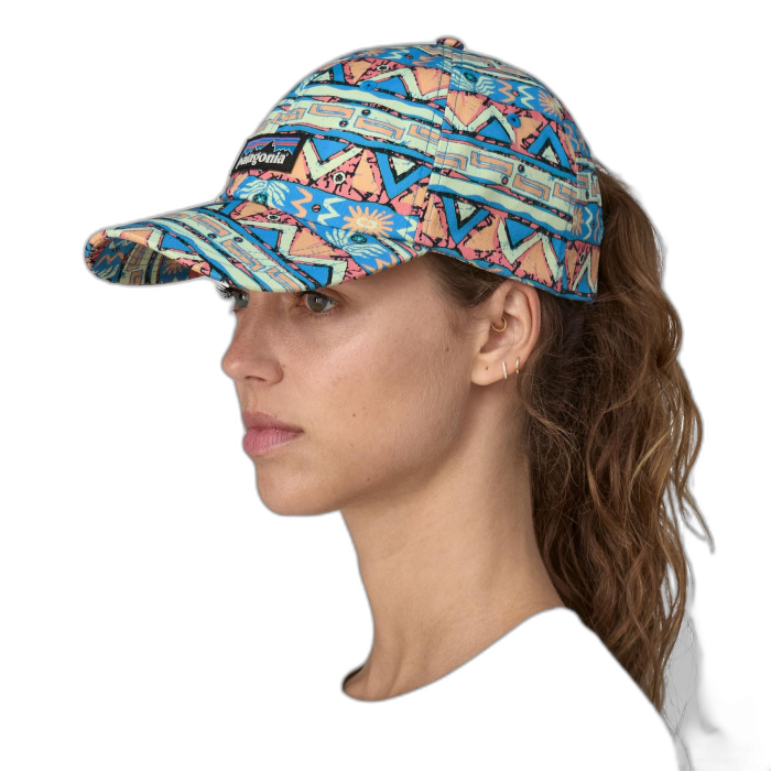 Czapka PATAGONIA Trad P-6 Label / HGSS hopes geo salam