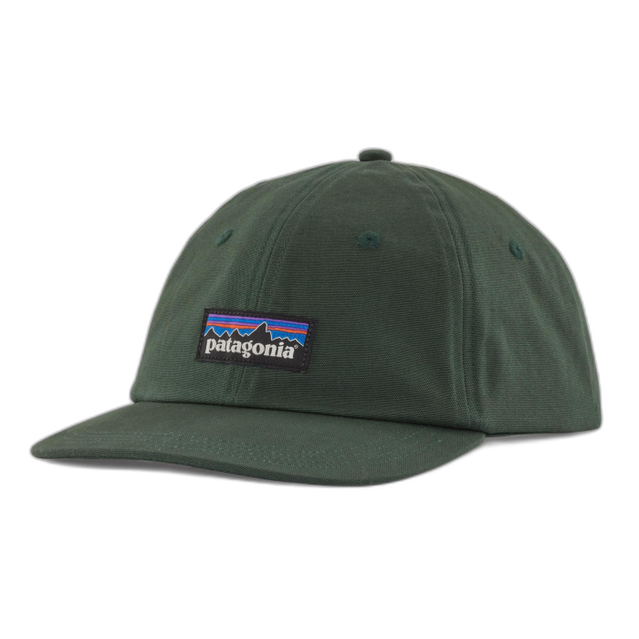 Czapka PATAGONIA Trad P-6 Label / PIGN pinyon green