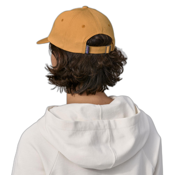 Czapka PATAGONIA Trad P-6 Label / DMGO dried mango
