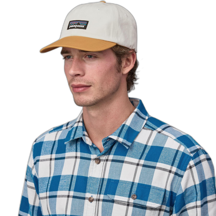 Czapka PATAGONIA Trad P-6 Label / BCW birch white