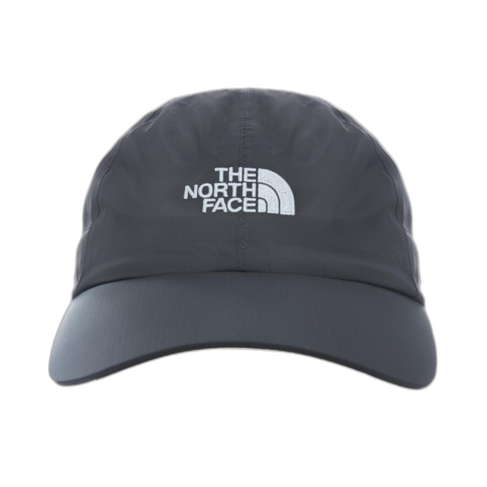 Czapka THE NORTH FACE DryVent Logo /  szary