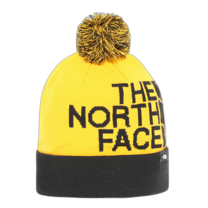 Czapka THE NORTH FACE Ski Tuke /  wielokolorowy