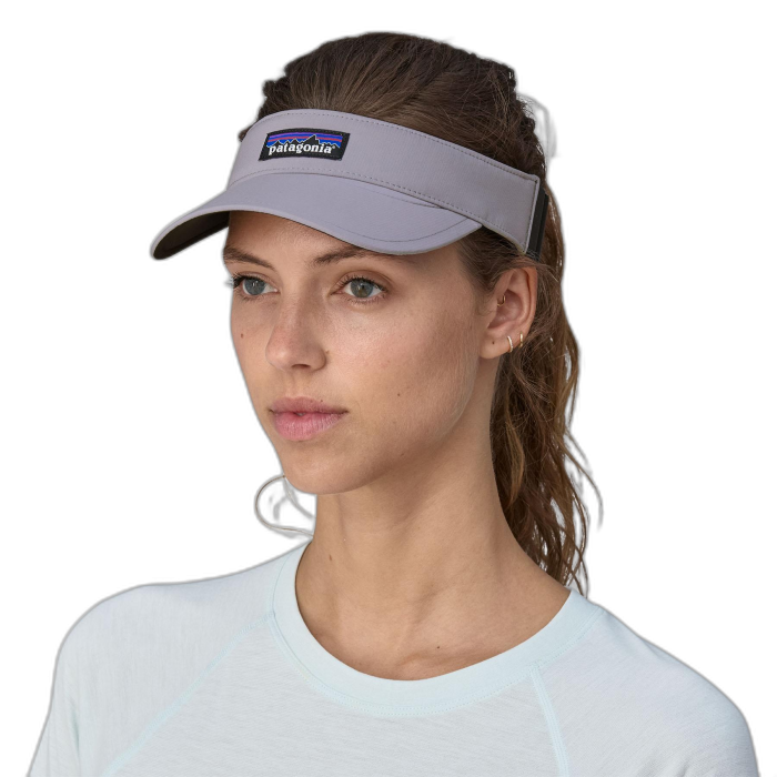 Daszek PATAGONIA Airshed / HERG herring grey