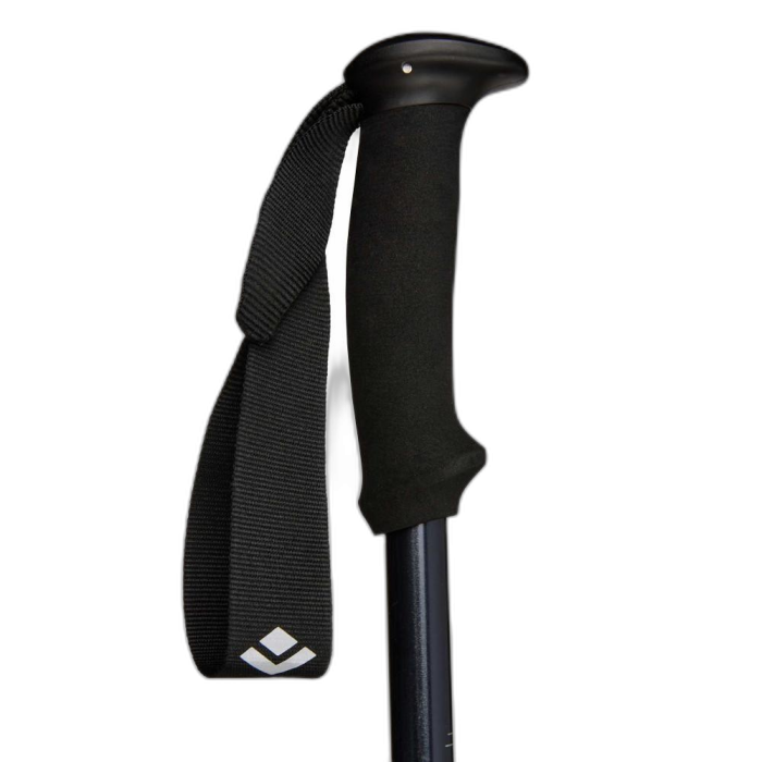Kije Black Diamond Explorer 2 Trekking / Ink Blue