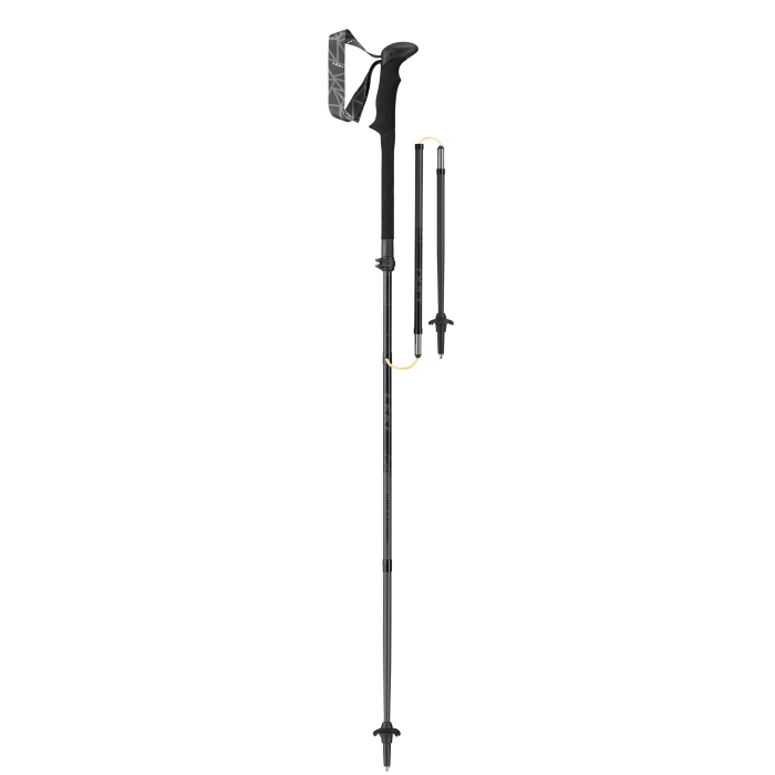 Kije LEKI Micro Vario Carbon Black Series