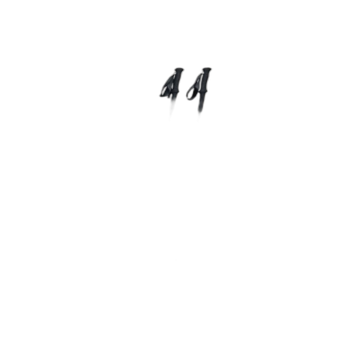 Kije ROCKLAND Access Lite / ---