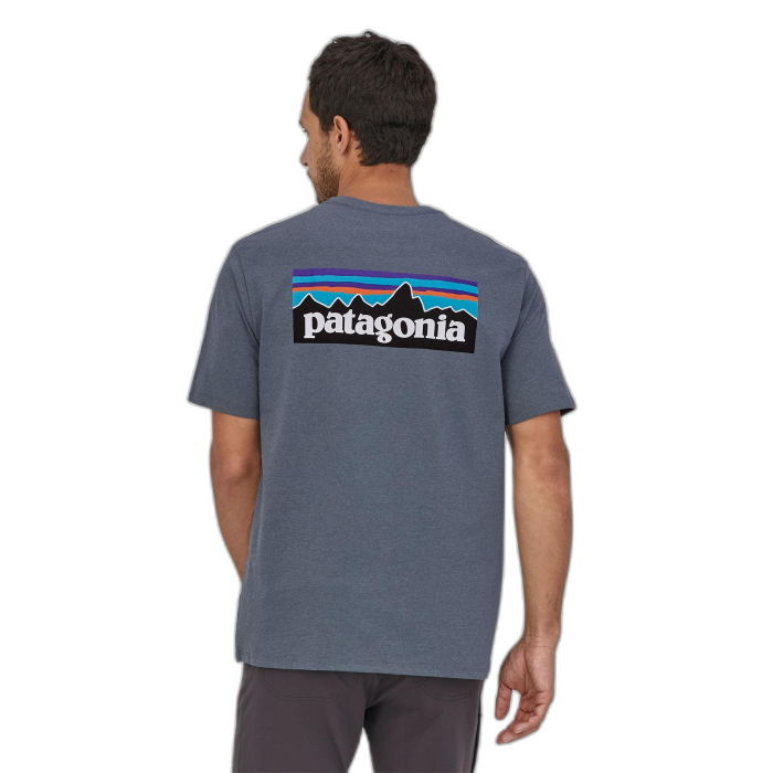 Koszulka męska PATAGONIA P-6 Logo S/S / PLGY plume grey