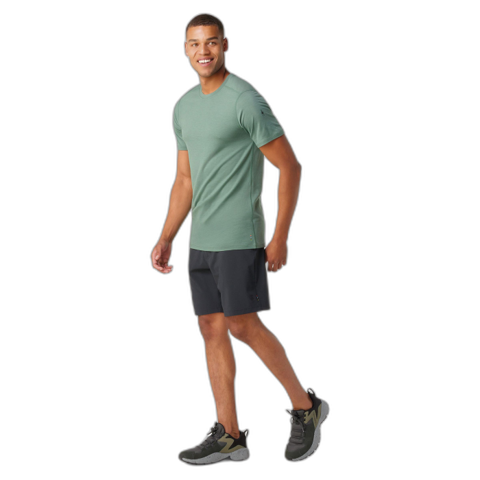 Koszulka Smartwool 16948 Merino Sleeve Tee / 364 Sage