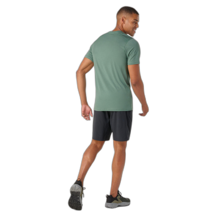 Koszulka Smartwool 16948 Merino Sleeve Tee / 364 Sage