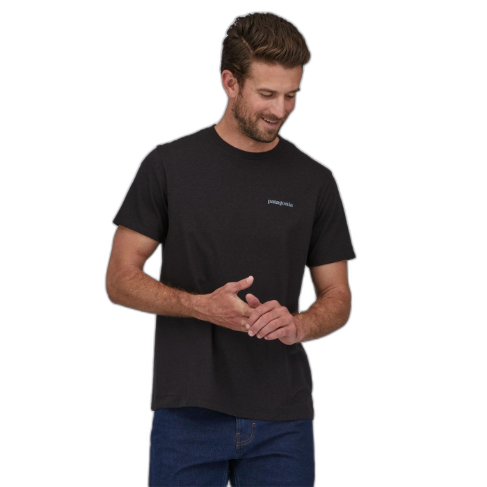 Koszulka unisex PATAGONIA Fitz Roy Icon S/S / INBK Ink Black