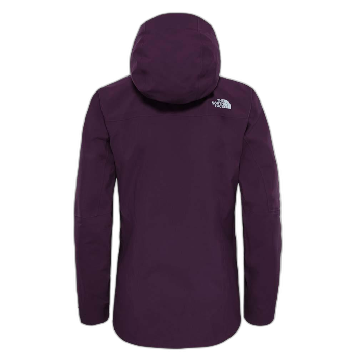Kurtka damska THE NORTH FACE Point Five GTX Pro /  fioletowy
