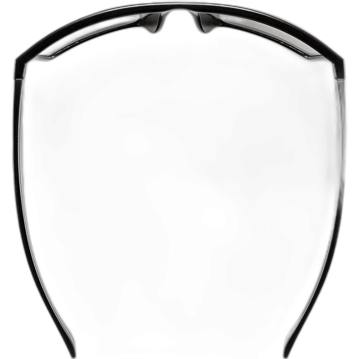 Okulary UVEX LGL 29 / 2216 black silver