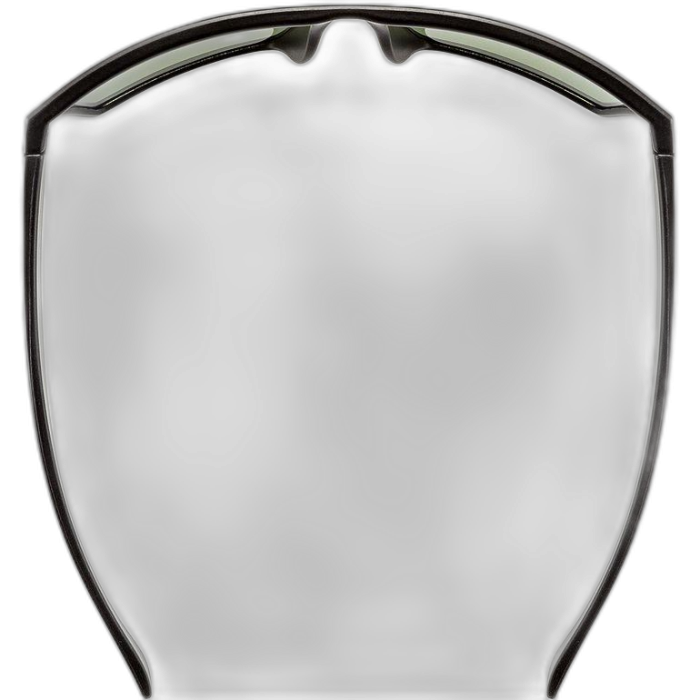 Okulary UVEX LGL 29 / 2215 black green